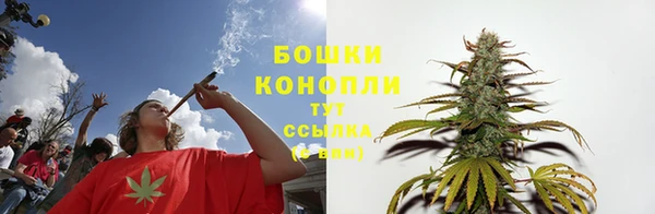 трава Иннополис