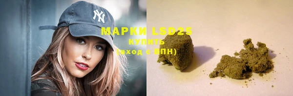 мдпв Каменногорск