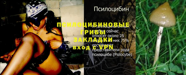 мдпв Каменногорск